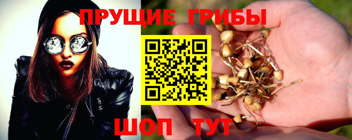 Белореченск  Галлюциногенные грибы ЛСД  Вход с VPN 