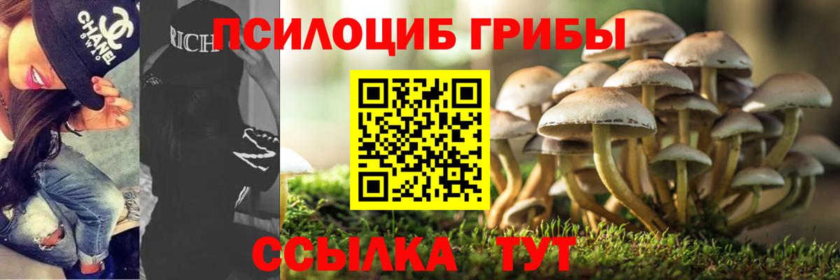 Псилоцибиновые грибы Cubensis Белореченск